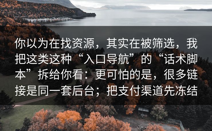 你以为在找资源，其实在被筛选，我把这类这种“入口导航”的“话术脚本”拆给你看：更可怕的是，很多链接是同一套后台；把支付渠道先冻结