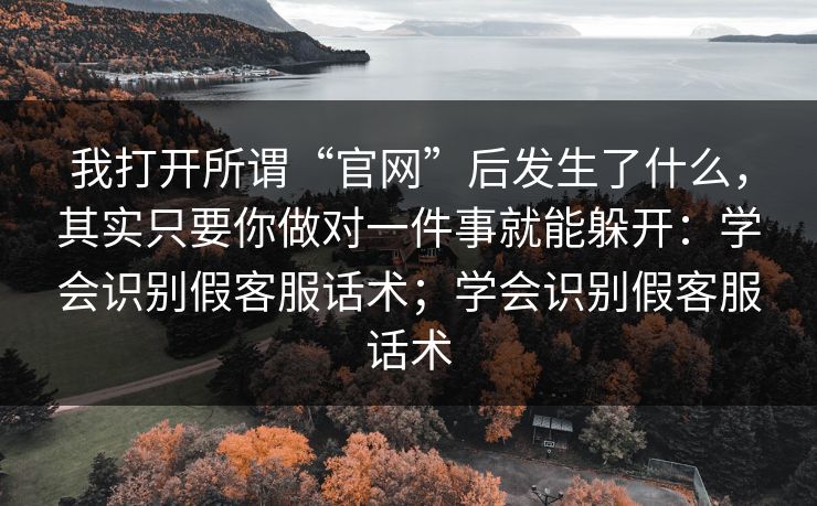 我打开所谓“官网”后发生了什么，其实只要你做对一件事就能躲开：学会识别假客服话术；学会识别假客服话术
