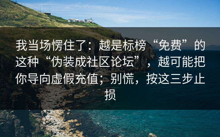我当场愣住了：越是标榜“免费”的这种“伪装成社区论坛”，越可能把你导向虚假充值；别慌，按这三步止损