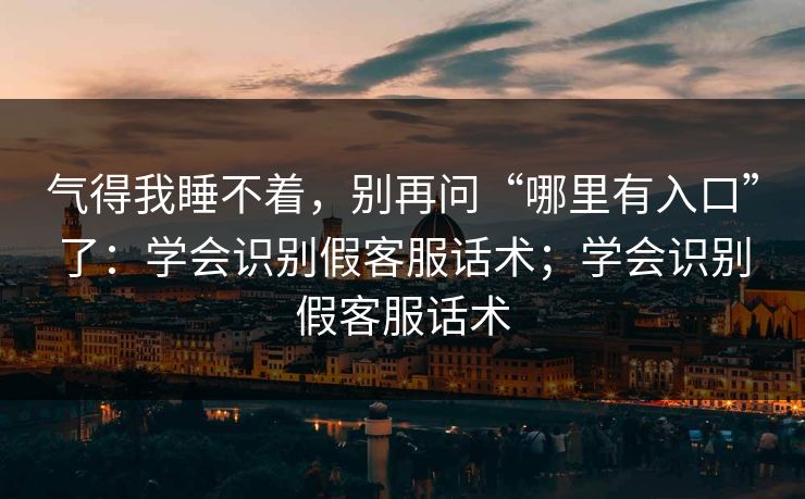 气得我睡不着，别再问“哪里有入口”了：学会识别假客服话术；学会识别假客服话术