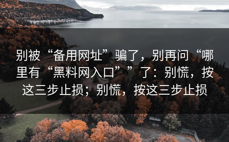 别被“备用网址”骗了，别再问“哪里有“黑料网入口””了：别慌，按这三步止损；别慌，按这三步止损