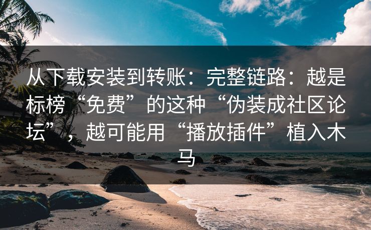 从下载安装到转账：完整链路：越是标榜“免费”的这种“伪装成社区论坛”，越可能用“播放插件”植入木马