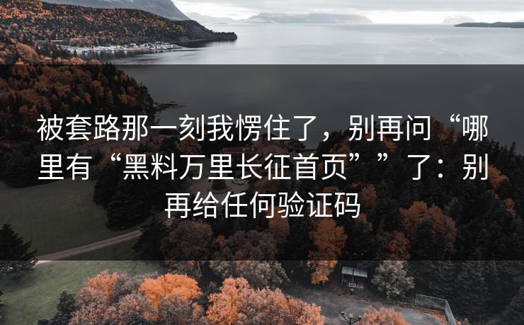 被套路那一刻我愣住了，别再问“哪里有“黑料万里长征首页””了：别再给任何验证码